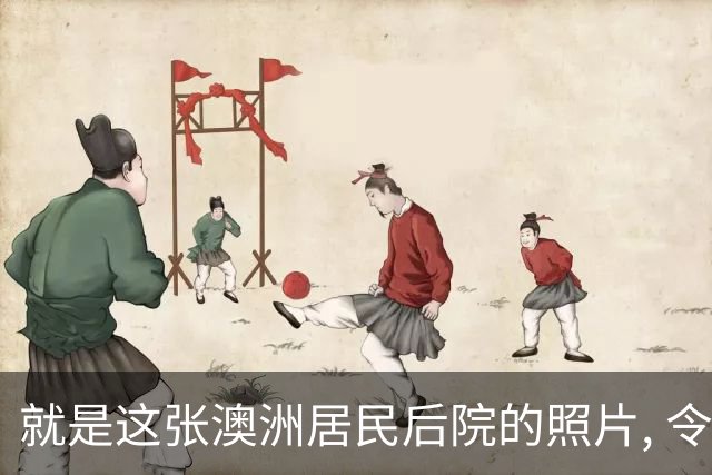 就是这张澳洲居民后院的照片, 令无数新西兰人彻底破防!