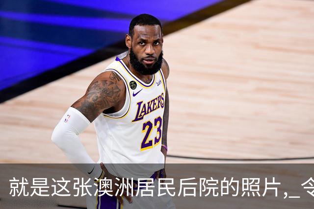 就是这张澳洲居民后院的照片, 令无数新西兰人彻底破防!